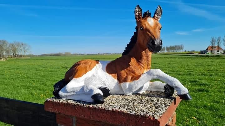 Geit, Schaap, Ezel, Lam, Veulen, koeien, grote Tuinbeelden, Tuin en Terras, Ophalen, Nieuw, Kunststof, Dierenbeeld