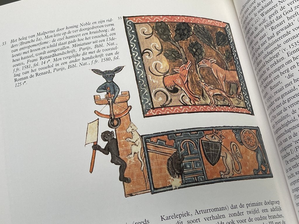 Van den Vos Reynaerde: het Comburgse handschrift (1991), Boeken, Ophalen of Verzenden, Zo goed als nieuw, Nederland