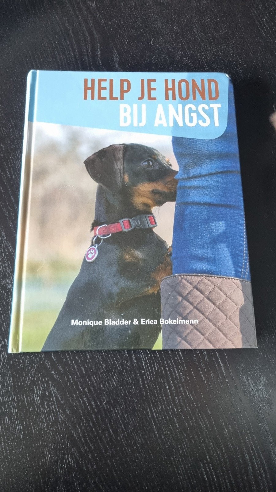 Monique Bladder - Help je hond bij angst, Boeken, Gelezen, Monique Bladder; Erica Bokelmann, Honden, Ophalen of Verzenden