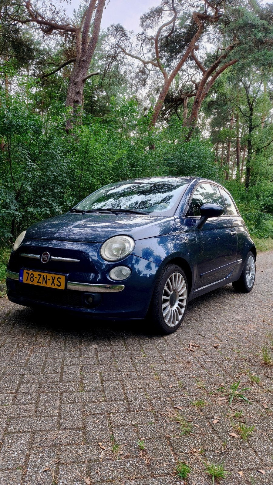 Fiat 500 1.2 C 2008 Blauw, Auto's, Fiat, Voorwielaandrijving, 1242 cc, 4 cilinders, 840 kg