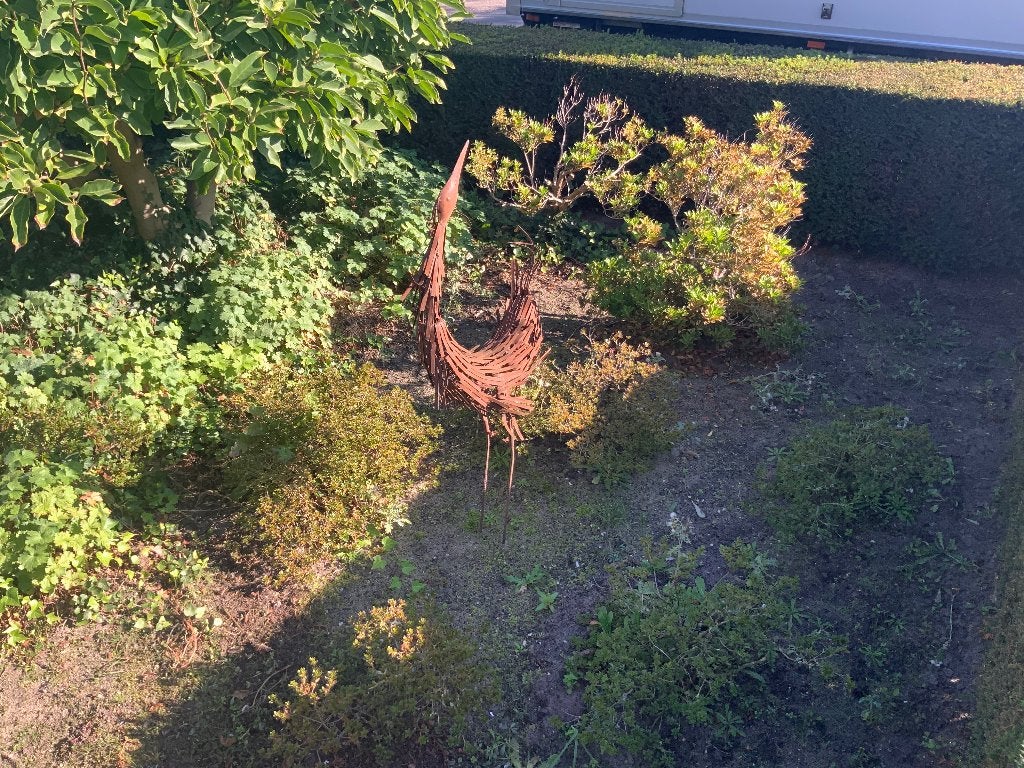 Bomen, Tuin en Terras, Bloeit niet, Leiboom, 250 tot 400 cm, Ophalen