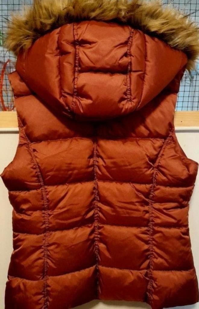 Meisjes bodywarmer NIEUW bordeaux rood maat 164, Kinderen en Baby's, Kinderkleding | Maat 164, Meisje, H&M, Nieuw, Ophalen of Verzenden