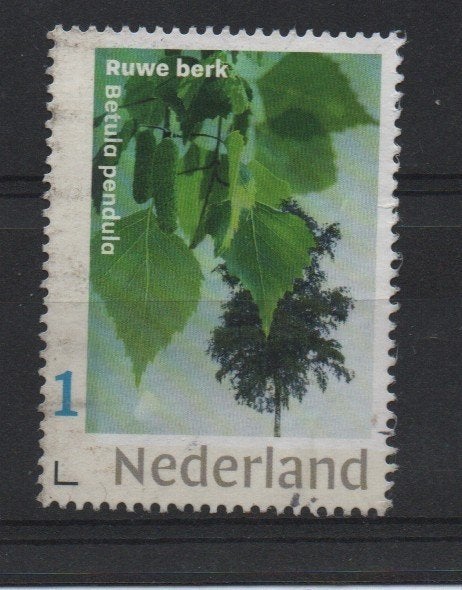 ‹(•¿•)› nl m0011 boom - ruwe berk, Ophalen of Verzenden, Na 1940, Gestempeld