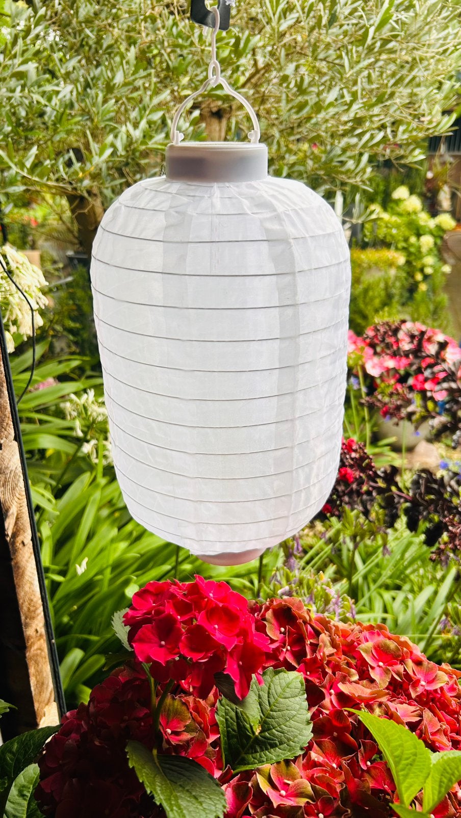 Solar lantaarn met vlam effect - 30 LED - Ø 20 cm, Ophalen, Minder dan 50 watt, Overige typen, Nieuw
