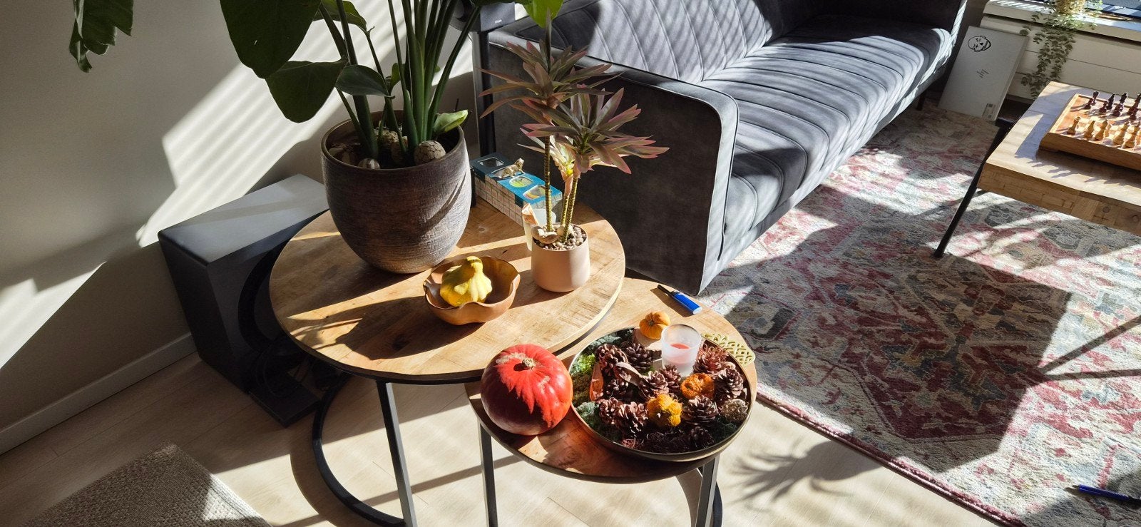 Mangohouten salontafel en bijzettafels met metalen onderstel, Gebruikt, 50 tot 100 cm, Rond, 50 tot 100 cm