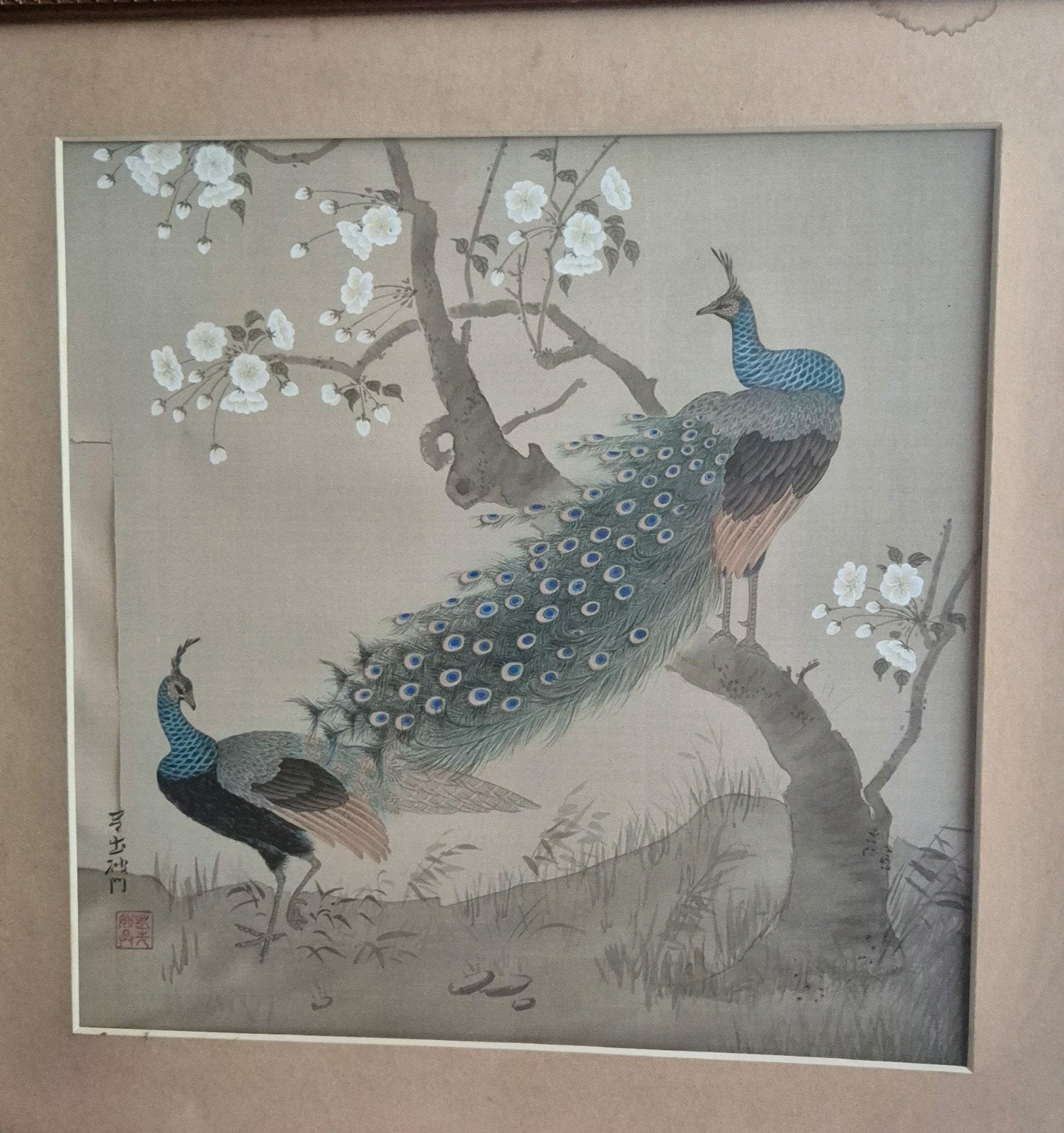Chinees aquarel pauwen in lijst

50x50, Antiek en Kunst, Kunst | Schilderijen | Klassiek, Ophalen of Verzenden