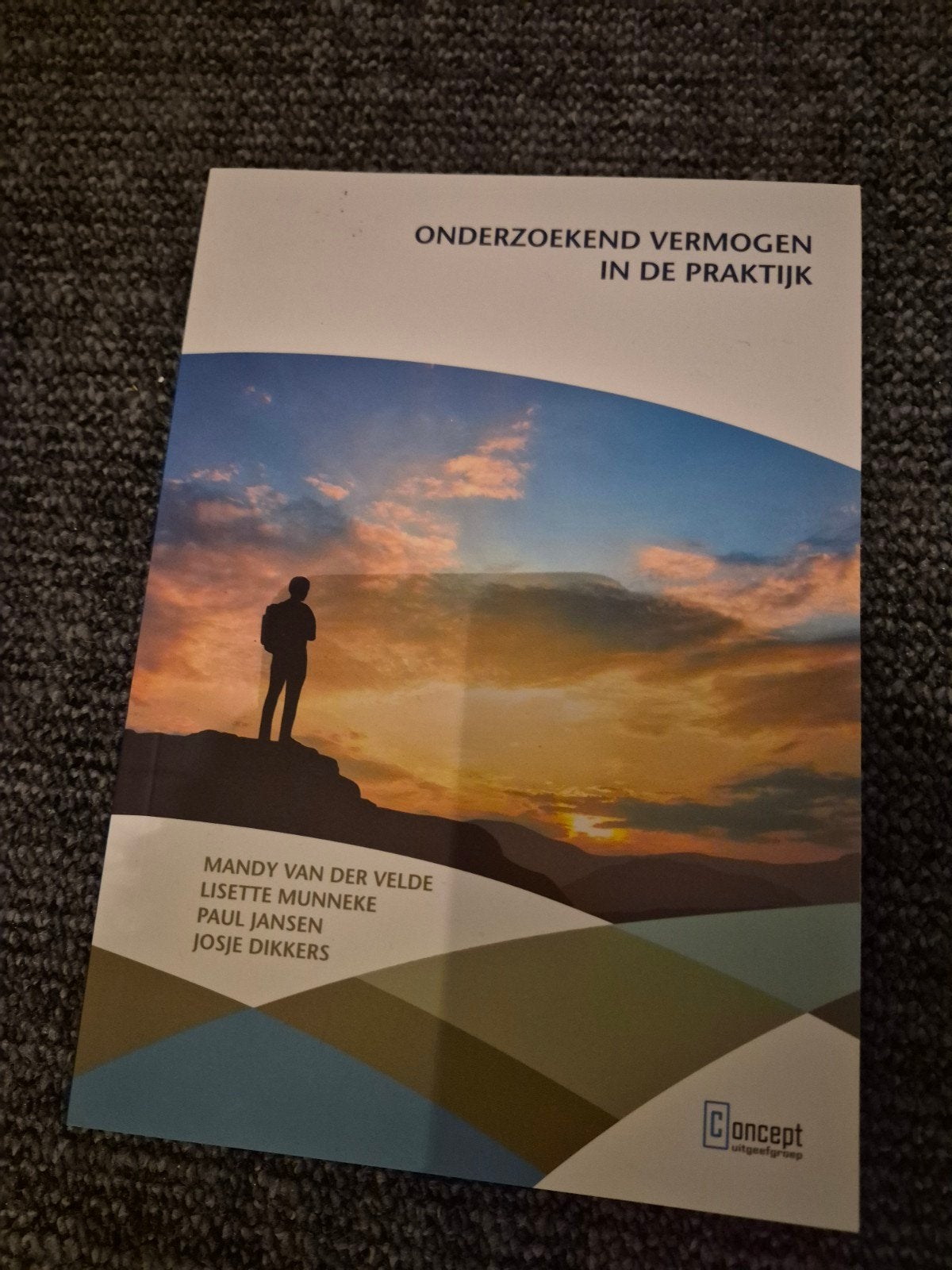 Onderzoekend Vermogen in de Praktijk HBO-boek, Boeken, Ophalen of Verzenden, Zo goed als nieuw, HBO, Mandy van der Velde, Lisette Munneke, Paul Jansen, Josje Dikkers
