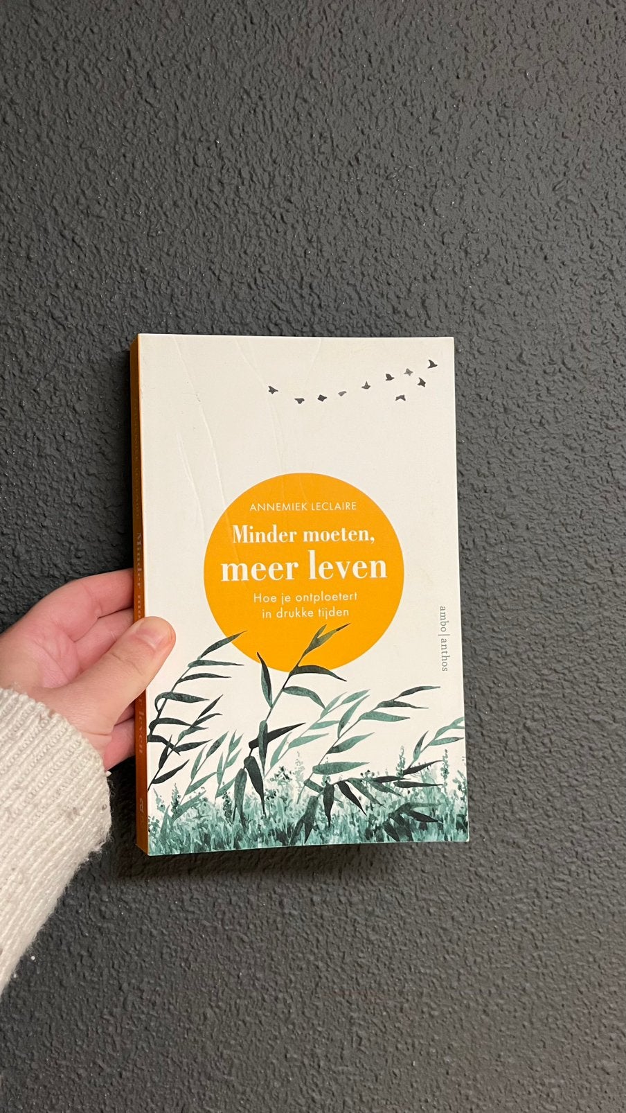Minder moeten, meer leven, Ophalen of Verzenden, Gelezen, Annemiek Leclaire