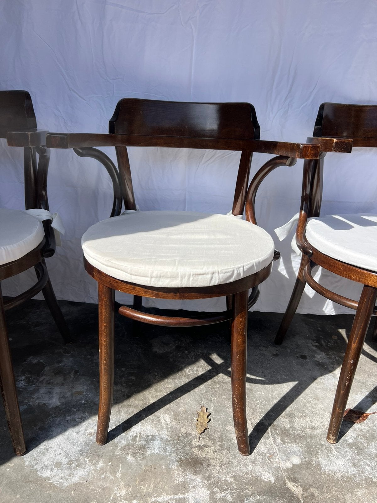 Fischel Thonet armchair, Ophalen, Zo goed als nieuw, Bruin, Eén