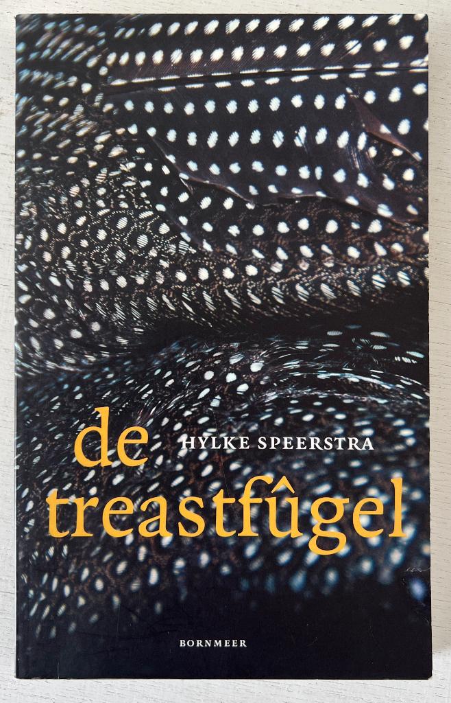 De Treastfûgel - Hylke Speerstra, Boeken, Romans, Zo goed als nieuw, Ophalen of Verzenden