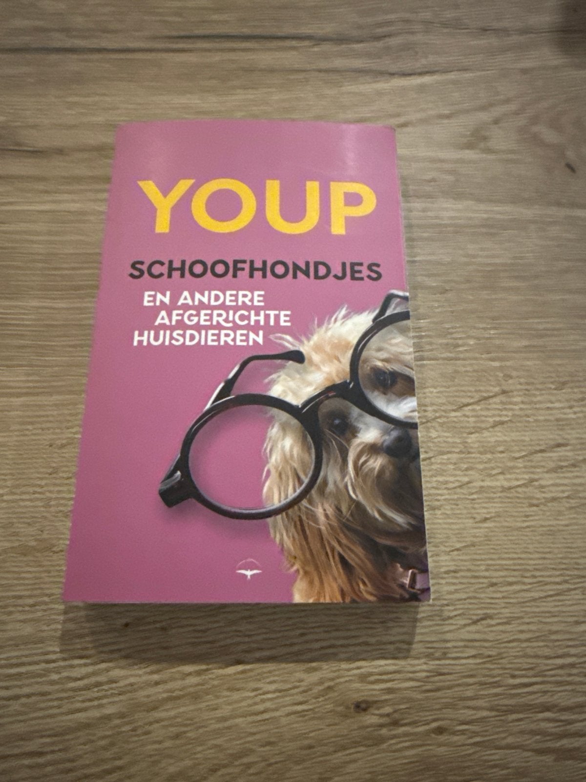 Schoofhondjes en andere afgerichte huisdieren, Ophalen of Verzenden, Zo goed als nieuw, Youp van 't Hek