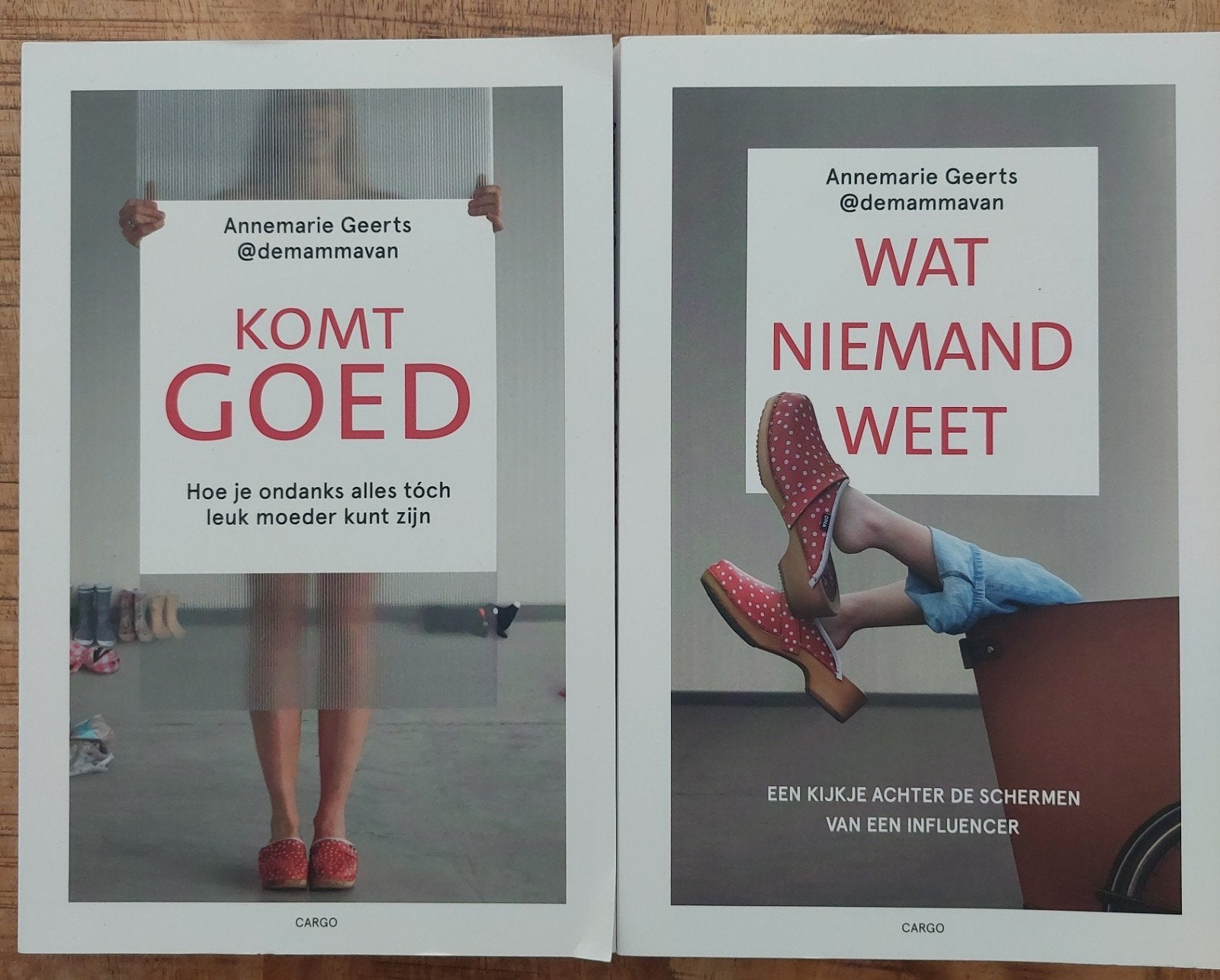 Komt goed / Wat niemand weet van Annemarie Geerts/demammavan, Ophalen of Verzenden, Zo goed als nieuw, Zwangerschap en Bevalling