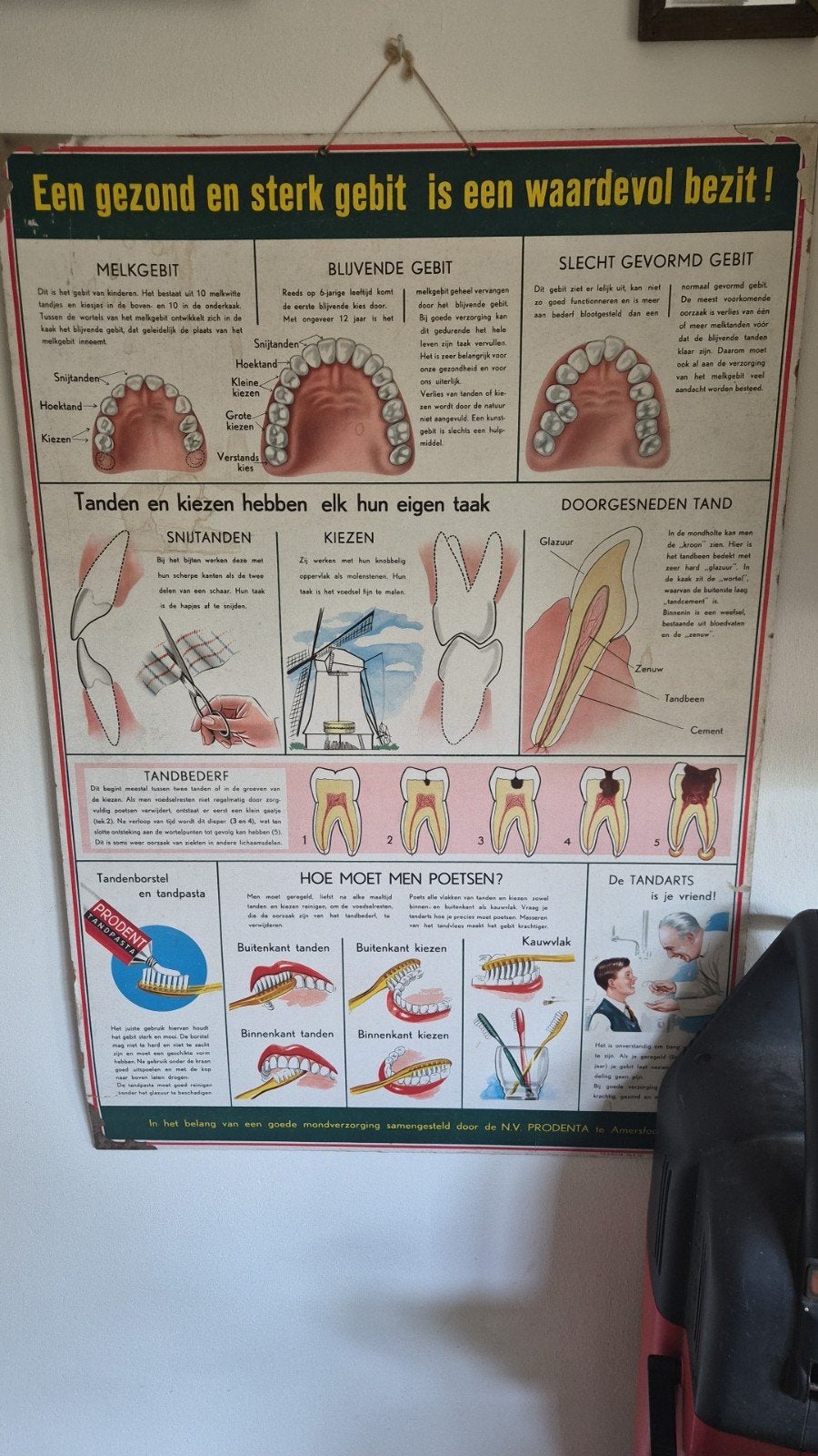 Antieke Prodent Schoolplaat Tandarts, Antiek en Kunst, Ophalen, Natuur en Biologie