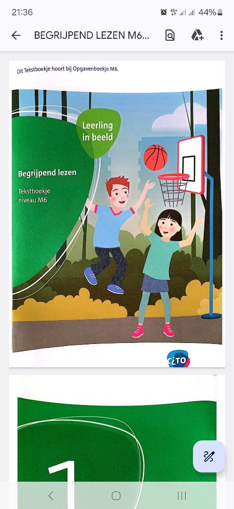 Cito Toetsen Gr 4 Tot 8, Ophalen of Verzenden, Zo goed als nieuw, Overige niveaus, Nederlands