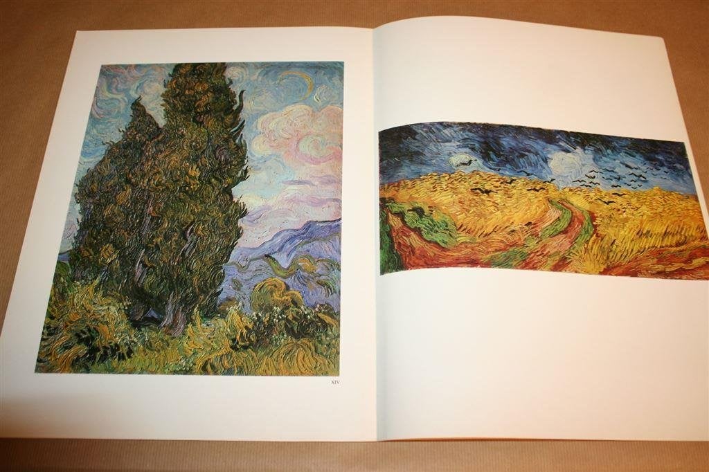 Meesters der Schilderkunst - Van Gogh, Ophalen of Verzenden, Gelezen