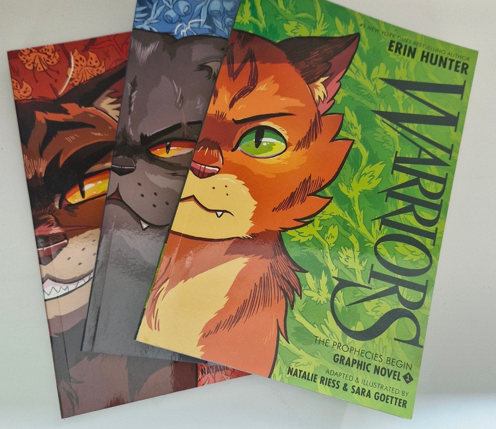 Warrior Cats Graphic Novel - Engelse editie, Ophalen