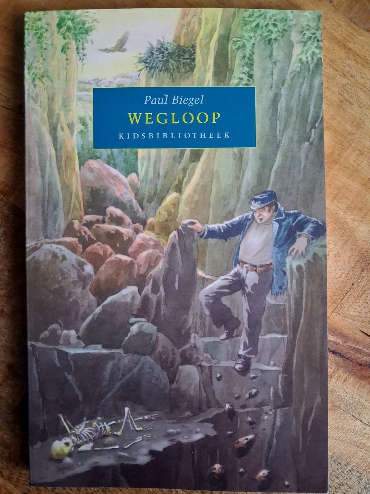Paul Biegel  - Wegloop, Ophalen of Verzenden, Paul Biegel