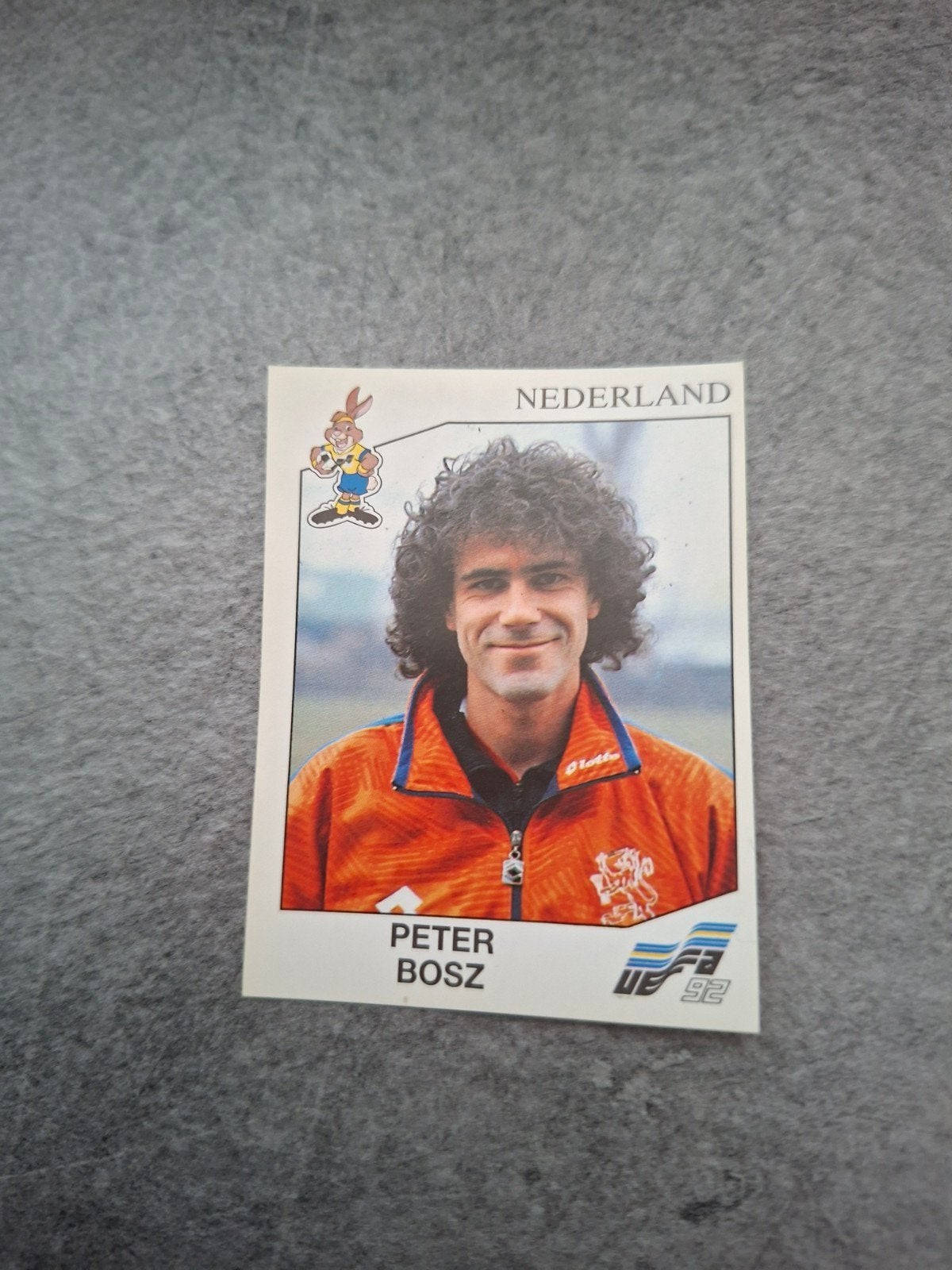 Panini sticker Euro 92 Zweden. Peter Bosz Nederland., Ophalen of Verzenden, Zo goed als nieuw, Sticker