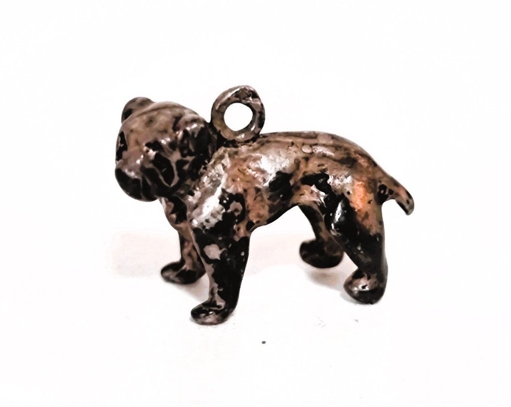 Massief zilveren kettinghanger van hond., Ophalen of Verzenden, Zilver