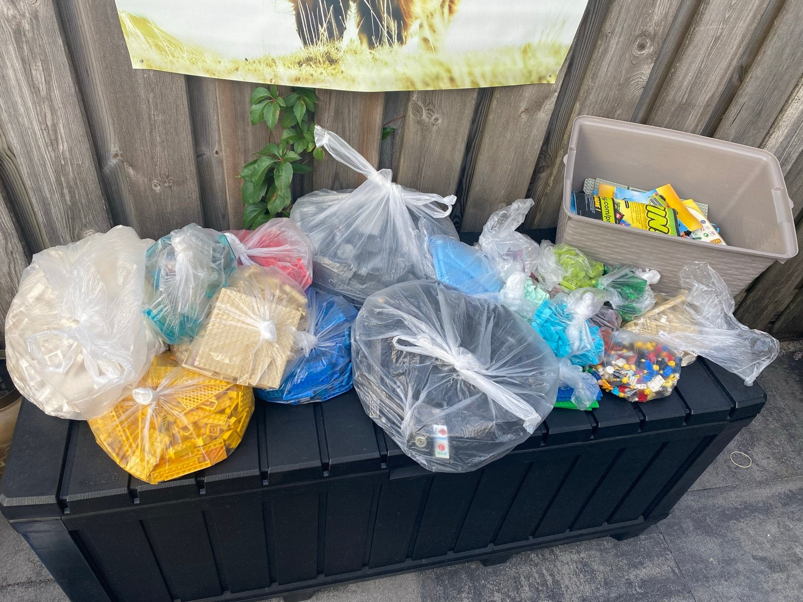 12,5 kg gesorteerde LEGO bouwstenen, Kinderen en Baby's, Speelgoed | Duplo en Lego, Ophalen, Gebruikt, Losse stenen, Lego