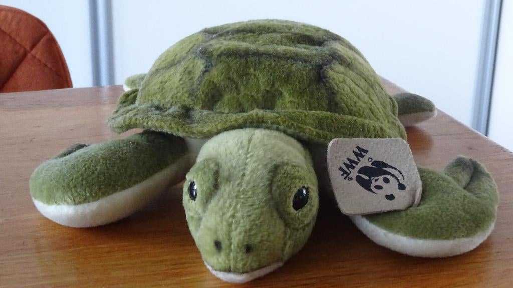 Schildpad Knuffel., Overige merken, Overige karakters, Overige typen, Ophalen of Verzenden