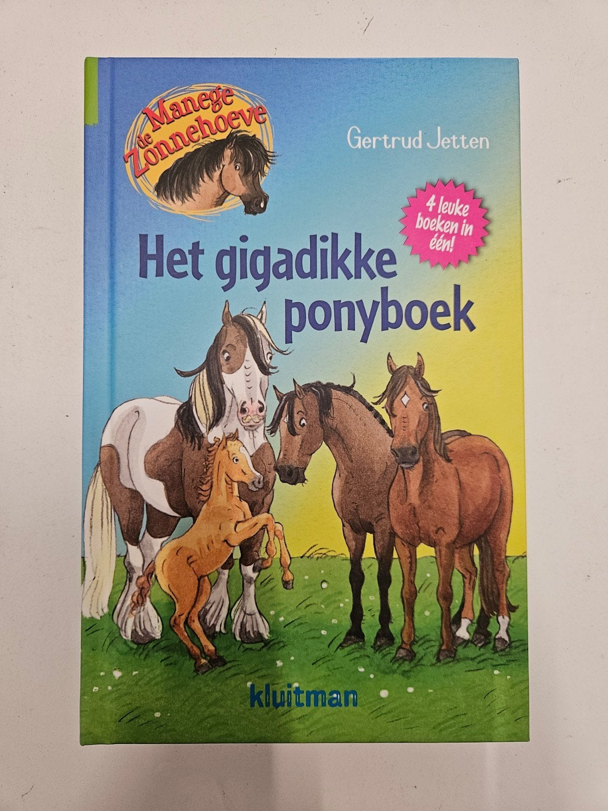Gertrud Jetten - Het gigadikke ponyboek, Ophalen of Verzenden, Zo goed als nieuw, Gertrud Jetten