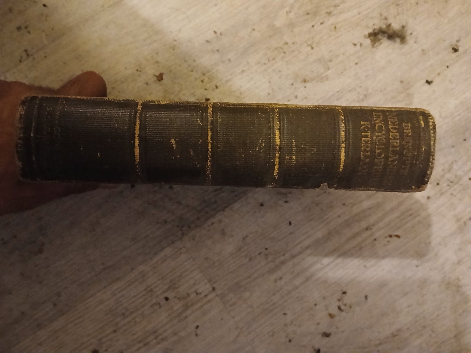 Beknopte Nederlandse Encyclopedie door K. ter Laan, Boeken, Gelezen, Ophalen of Verzenden, K. ter Laan, Los deel