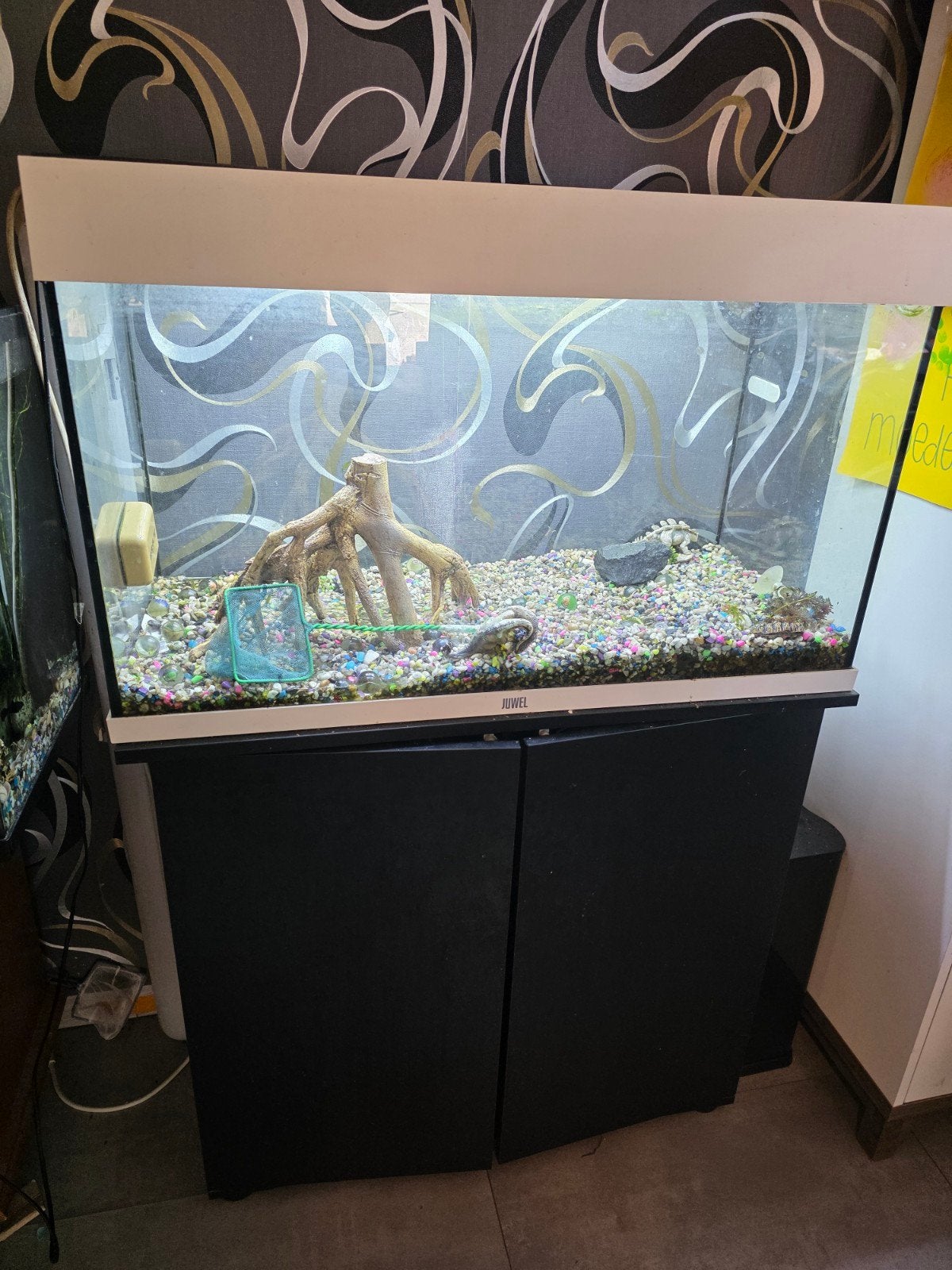 aquarium, Dieren en Toebehoren, Vissen | Aquaria en Toebehoren, Ophalen, Verlichting of Verwarming, Zo goed als nieuw, Verwarming