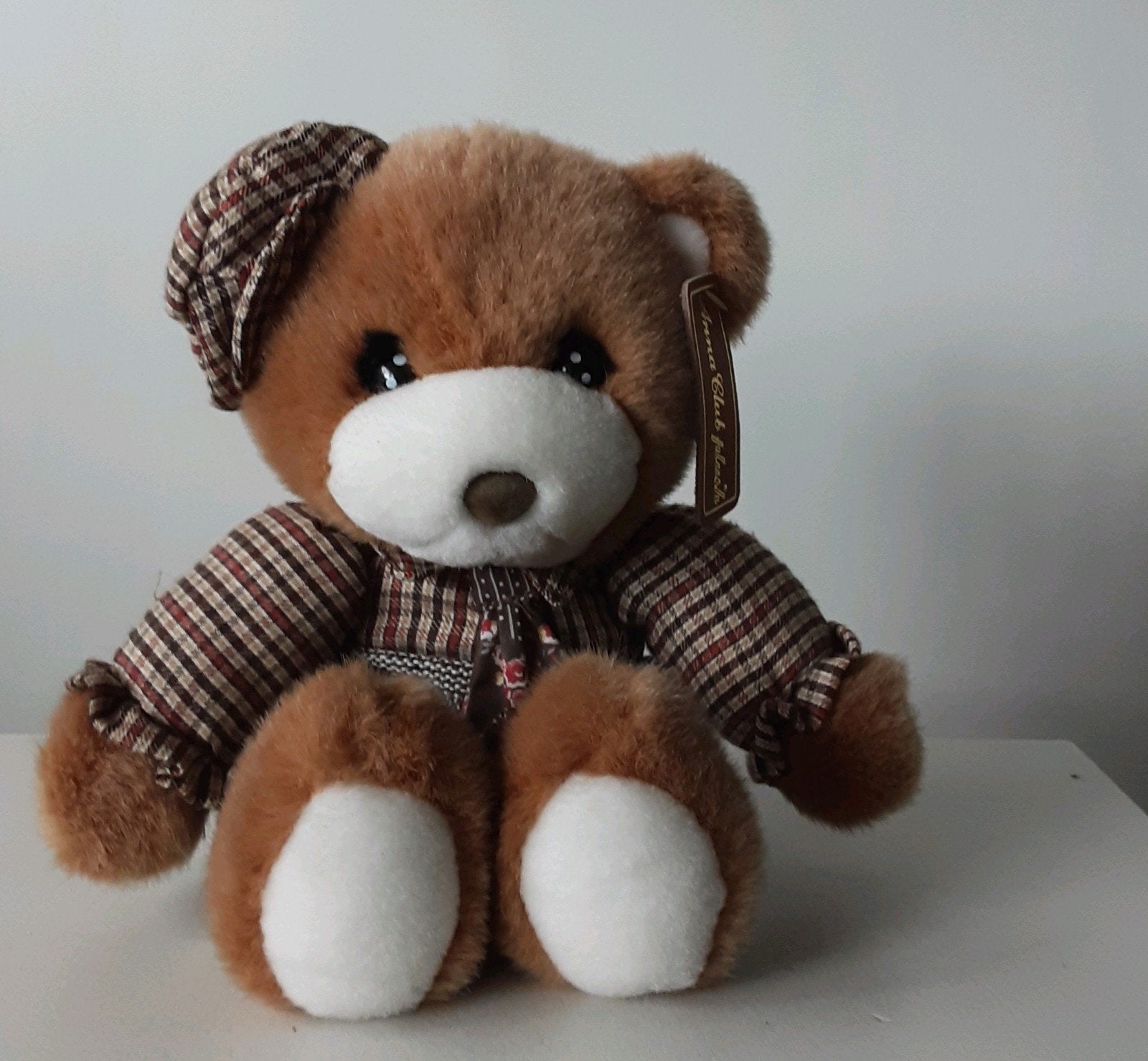 zittende teddy beer, Ophalen, Overige merken, Beer, Zo goed als nieuw