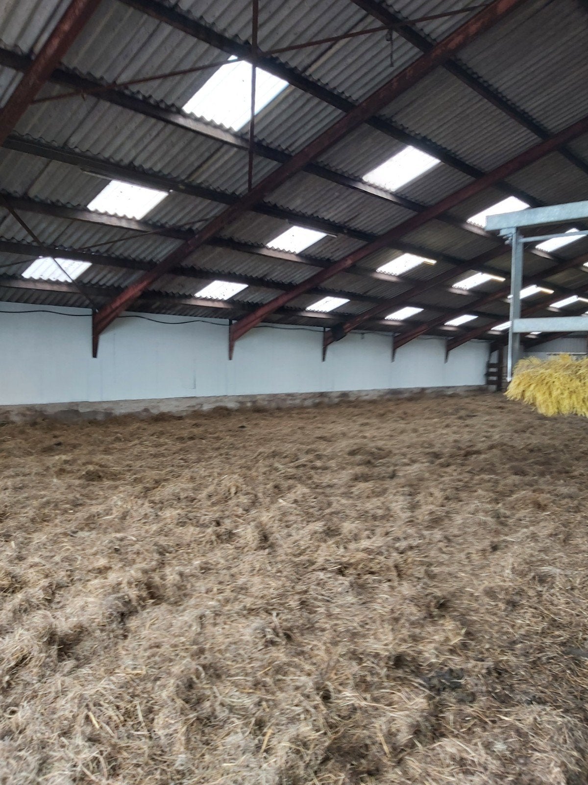 paardenrusthuis/revaliderende 40meter lange inloop, Dieren en Toebehoren, Weidegang