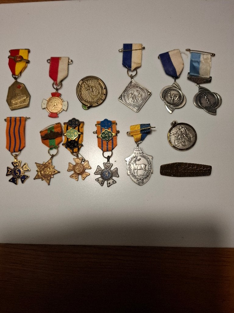 medailles, Ophalen of Verzenden, Overige materialen, Nederland