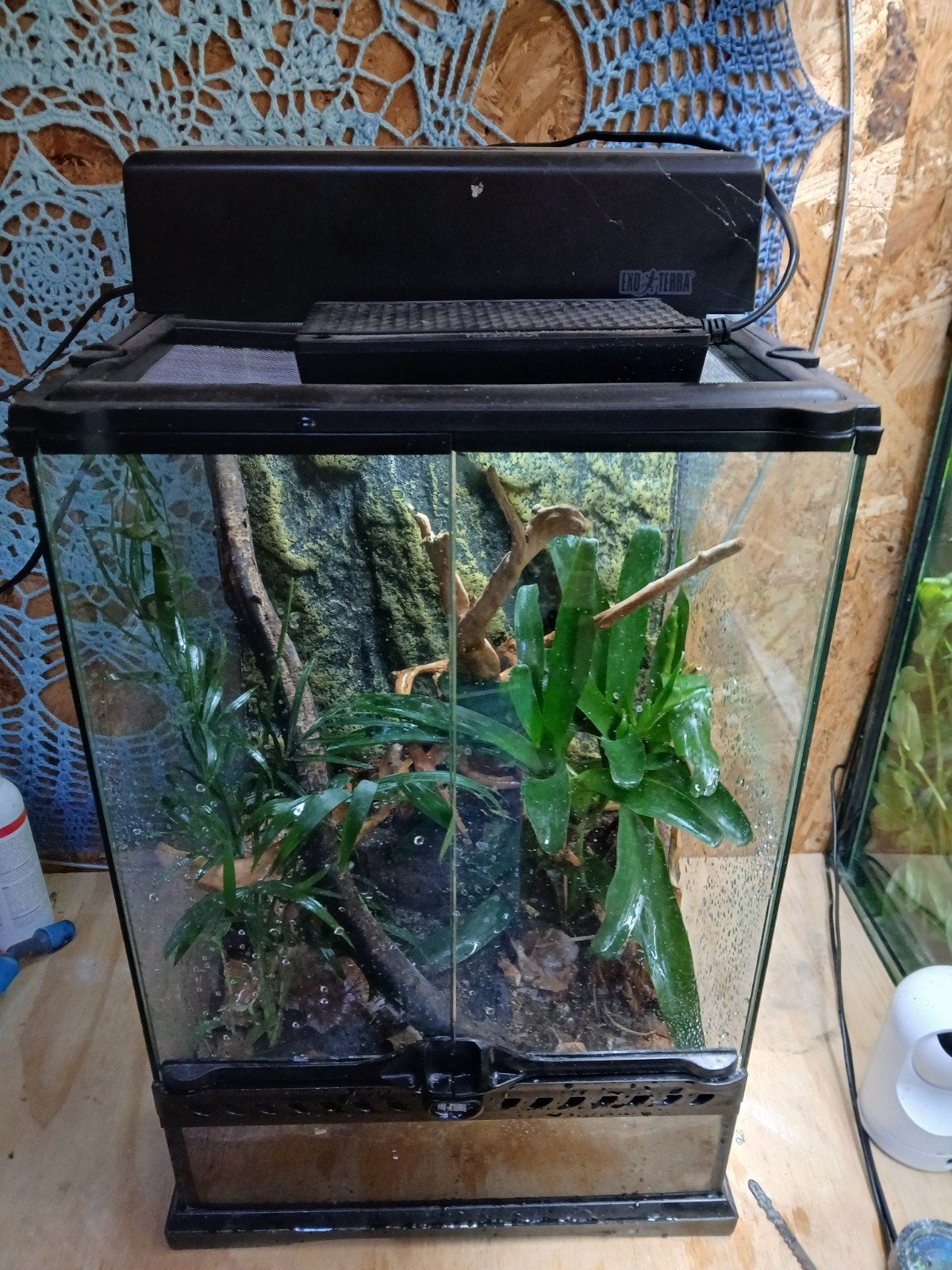 Exxo terra terrarium 30x30x45., Ophalen