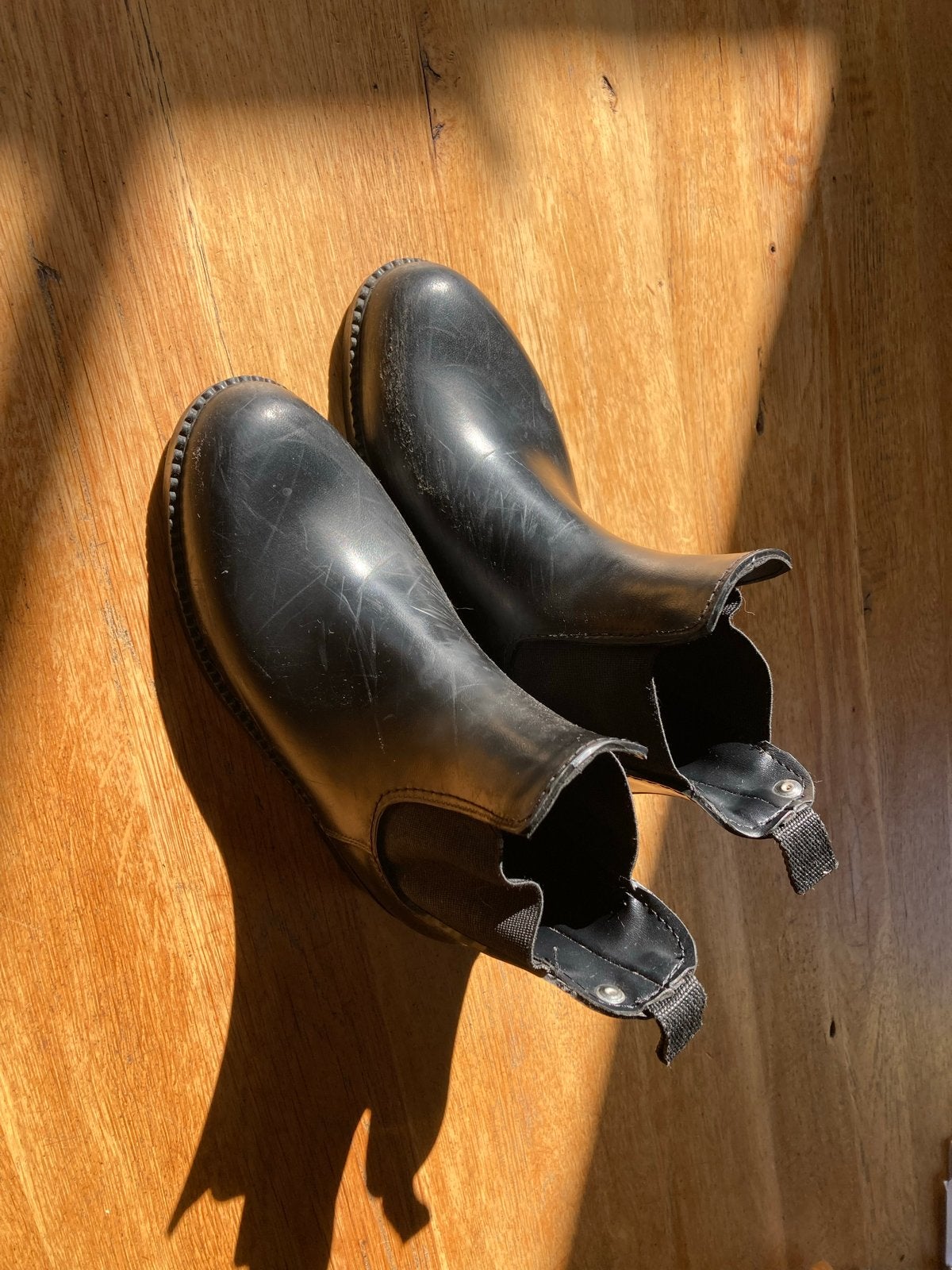 Zwarte Jodhpurs Maat 33, Zwart, Lage of Enkellaarzen, Ophalen of Verzenden, Gedragen