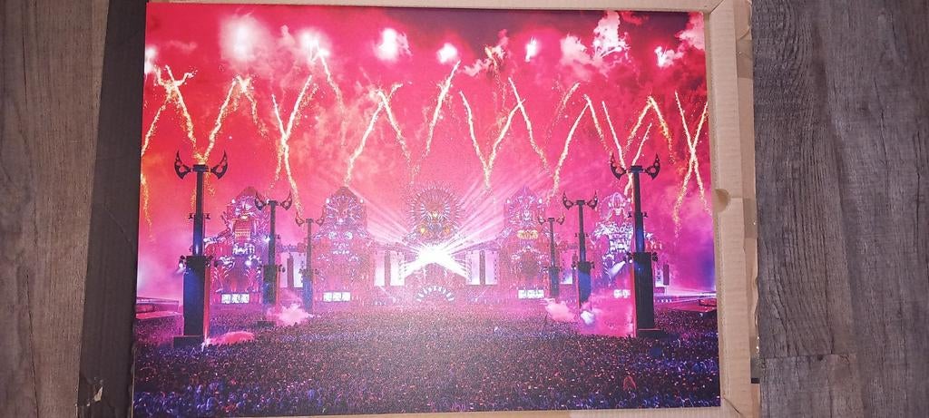 Defqon.1 2023 Dibond Plaat - The Ultimate Hardstyle Festival, Ophalen of Verzenden, Zo goed als nieuw, 75 tot 100 cm, Overige typen