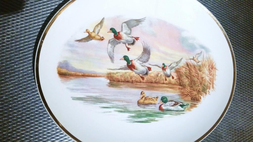 Oude Stoke on Trent mooi grote schaal., Antiek en Kunst, Ophalen of Verzenden