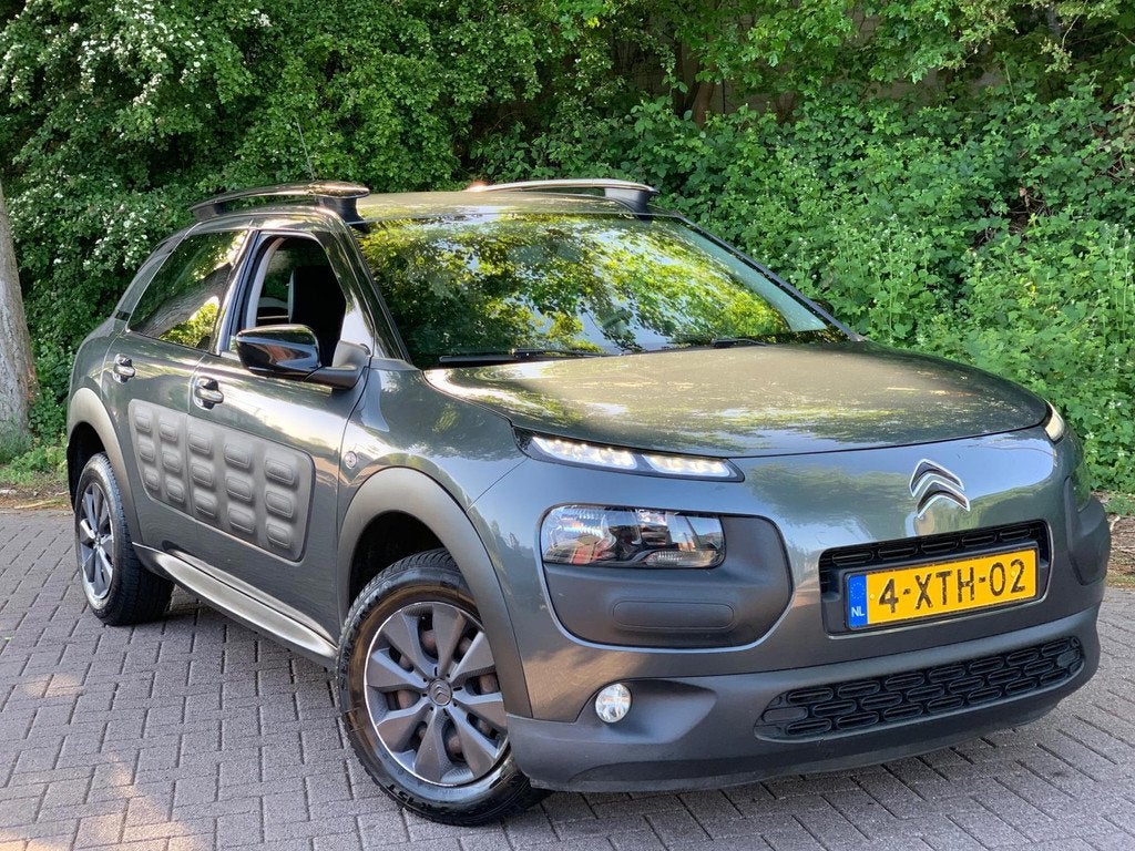 Citroen C4 Cactus 1.6 BlueHDi Feel LUXE UITVOERING !, Auto's, Citroën, Bedrijf, Te koop, C4 Cactus, ABS, Airbags, Airconditioning