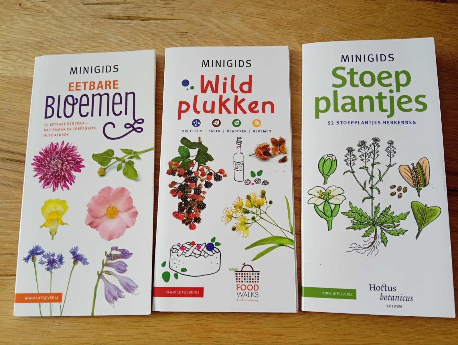 Minigidsen: Eetbare Bloemen, Wild Plukken, Stoepplantjes, Ophalen of Verzenden, Zo goed als nieuw, Bloemen, Planten en Bomen, Diverse auteurs