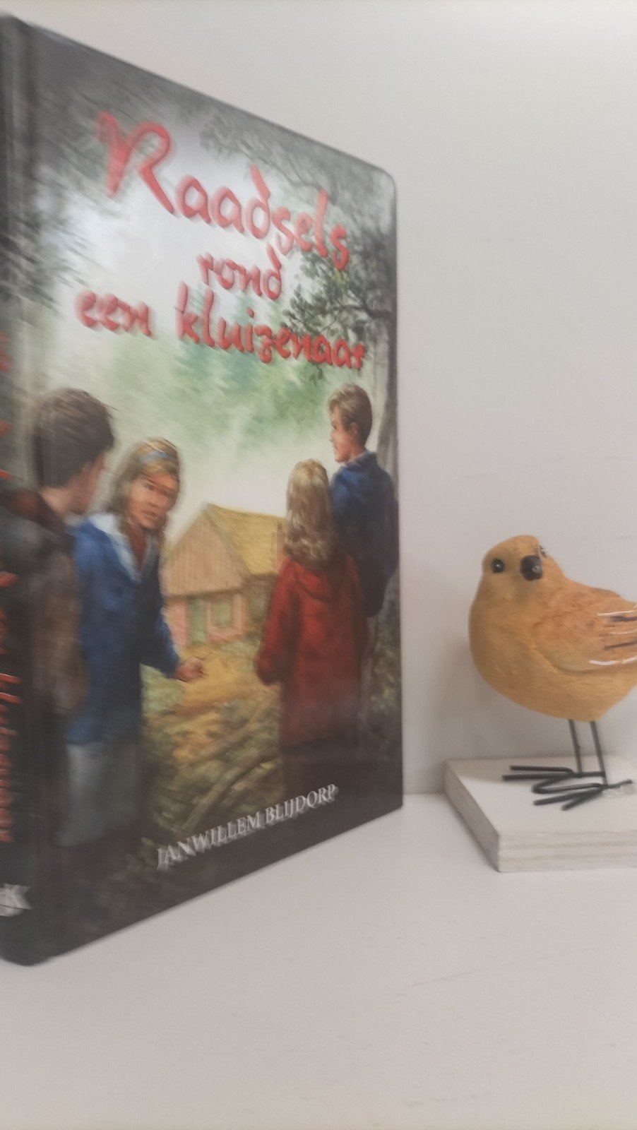 Blijdormp, Janwillem; Raadsels rond een kluizenaar, Ophalen of Verzenden, Gelezen