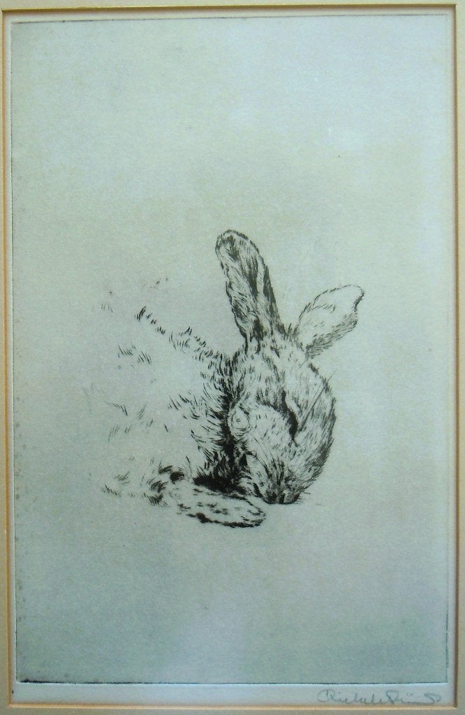 Ets van Riekele Prins. Dood konijn., Ophalen of Verzenden