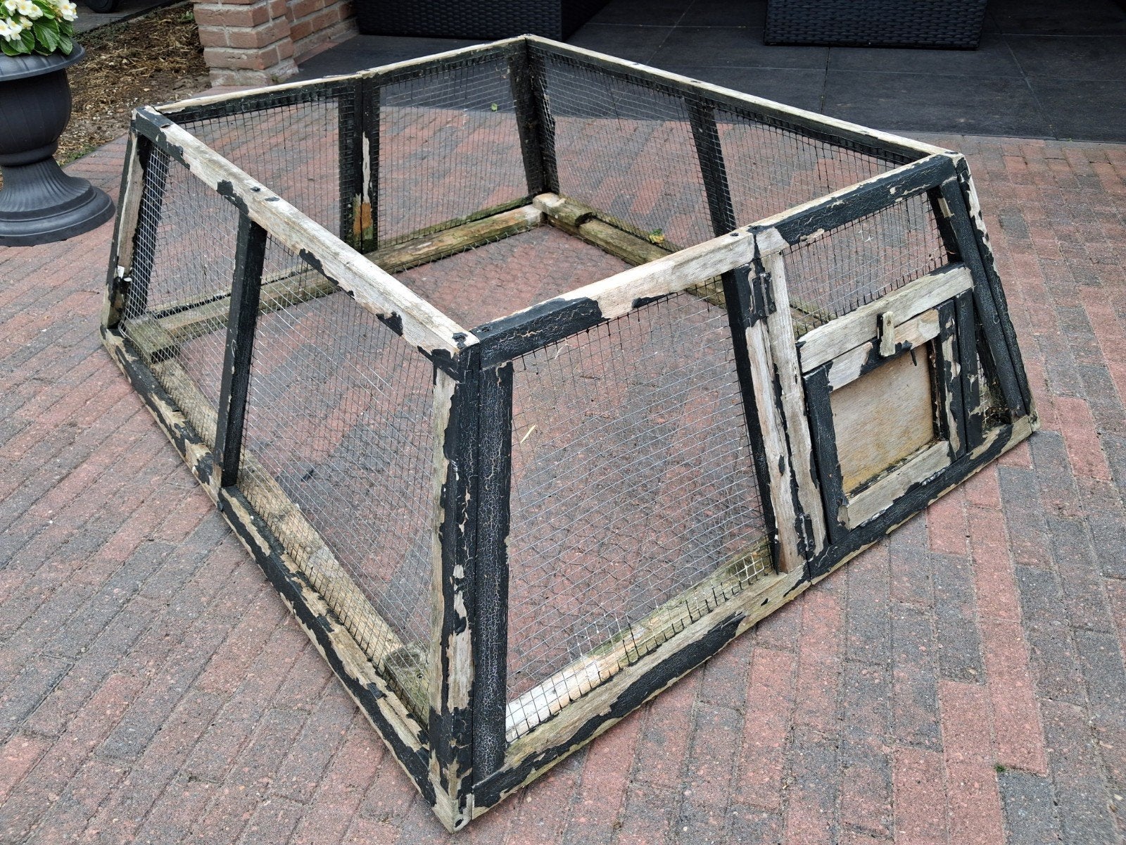 rennetje konijn cavia kuikens, Dieren en Toebehoren, Minder dan 60 cm, 110 cm of meer, Ophalen of Verzenden, Konijn