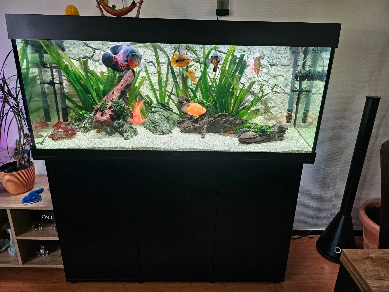 juwel 240, Ophalen, Zo goed als nieuw, Leeg aquarium, Juwel