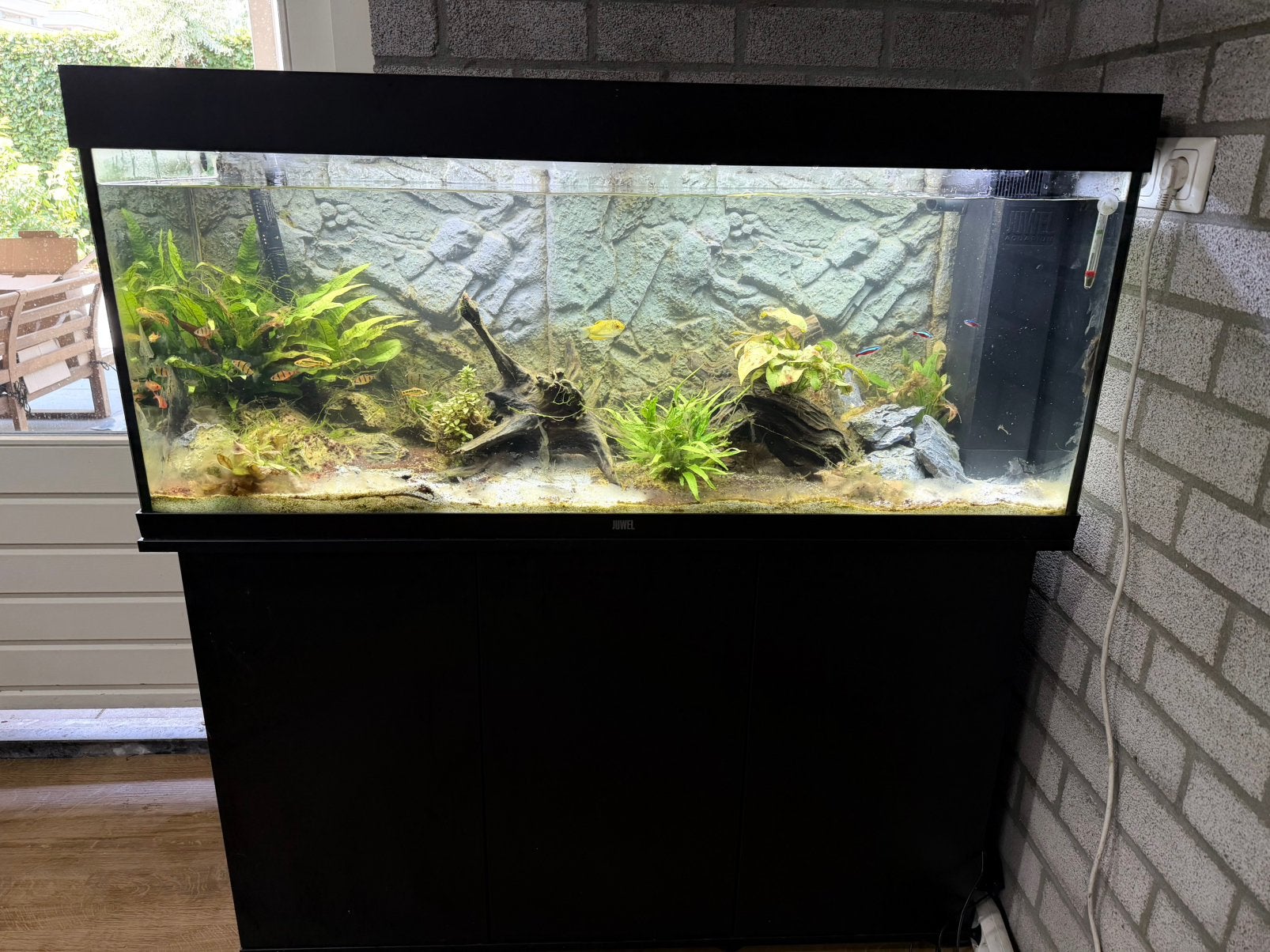 Juwel 240l aquarium compleet met accessoires en garantie, Dieren en Toebehoren, Vissen | Aquaria en Toebehoren, Ophalen, Inclusief vissen