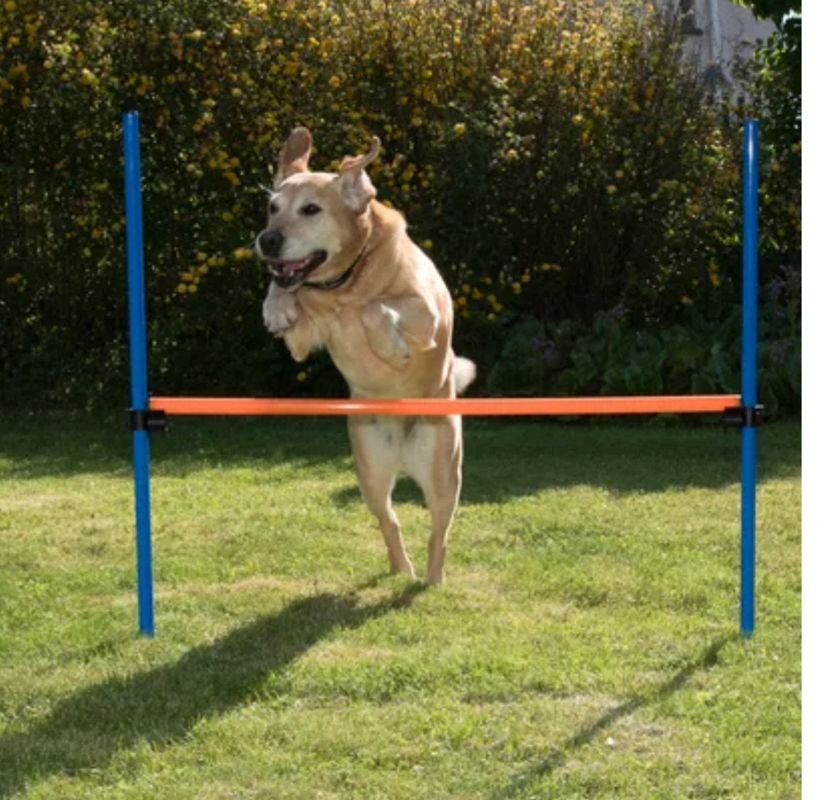 Agility hond horde, Ophalen, Zo goed als nieuw