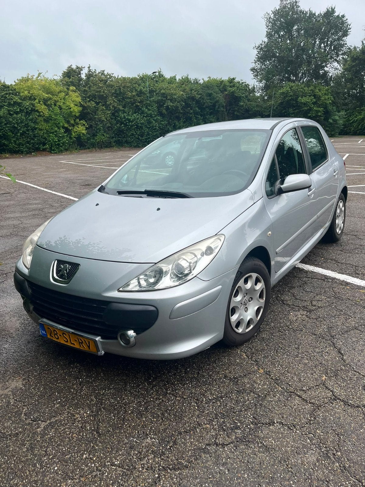Peugeot 307 1.6 16V 5DR 2006 Grijs, Voorwielaandrijving, Euro 5, Zwart, 4 cilinders