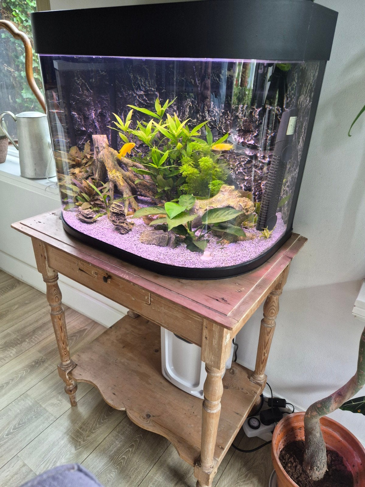 Aquarium met externe filter. Compleet. Wegens overcompleet, Dieren en Toebehoren, Ophalen