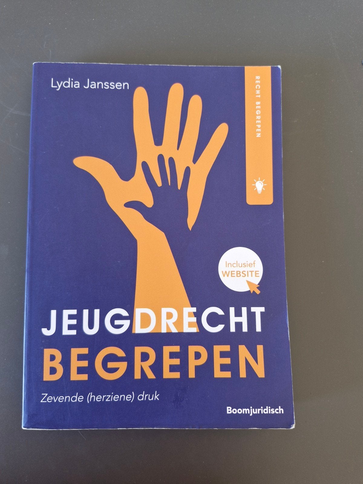 Jeugdrecht Begrepen - Zevende (herziene) druk, Boeken, Studieboeken en Cursussen, Ophalen of Verzenden, Zo goed als nieuw, Lydia Janssen