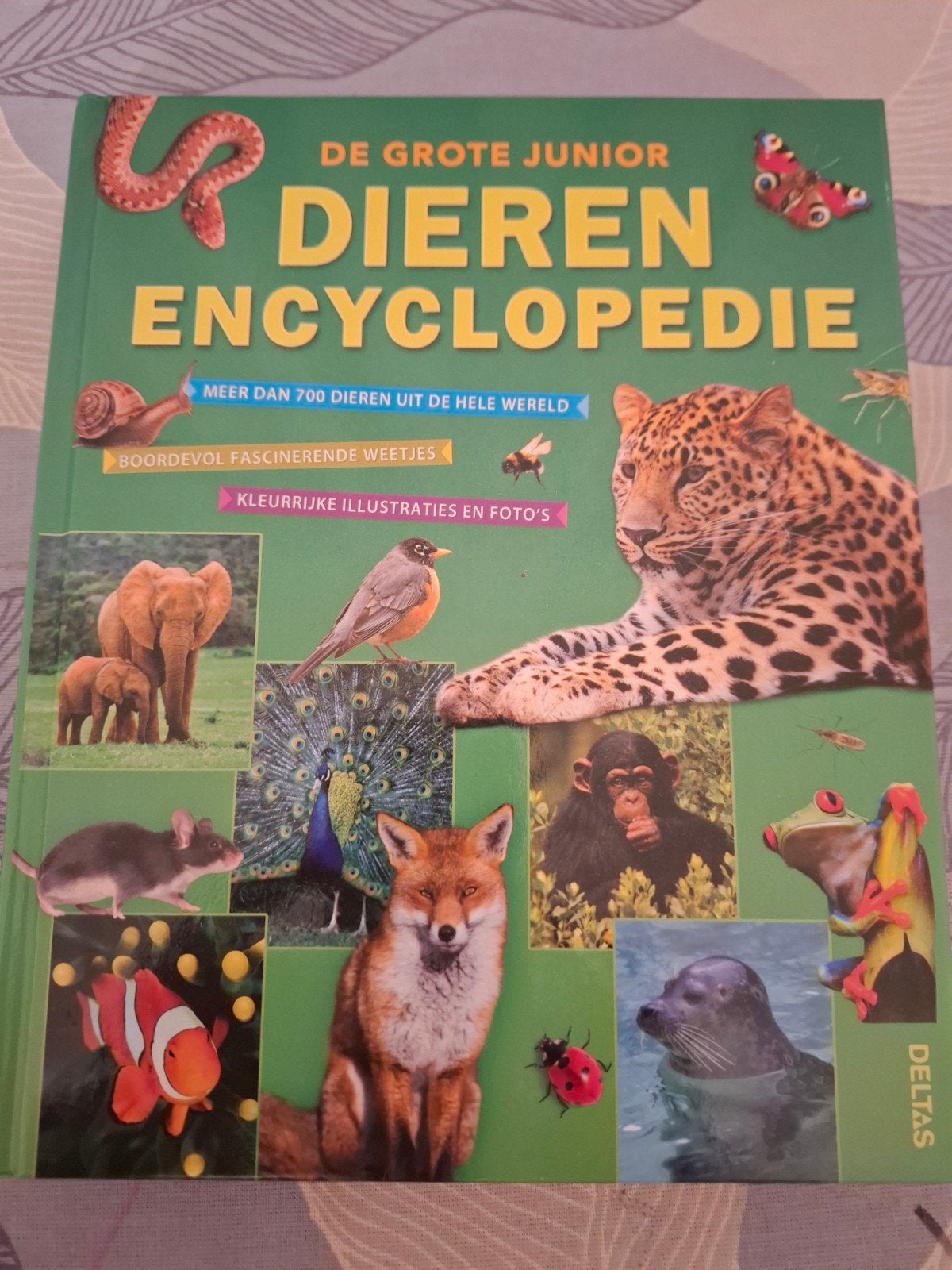 De Grote Junior Dierenencyclopedie - Meer dan 700 dieren, Boeken, Encyclopedieën, Ophalen of Verzenden, Zo goed als nieuw, Dieren