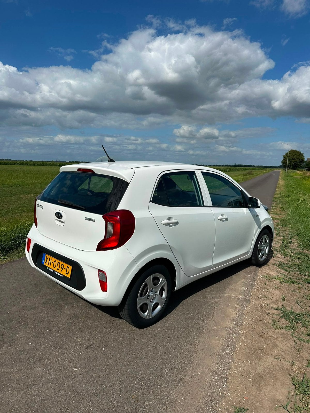 Kia Picanto 1.0 Cvvt 67pk 5-zits 2019 Wit, 4 stoelen, Wit, Origineel Nederlands, Particulier