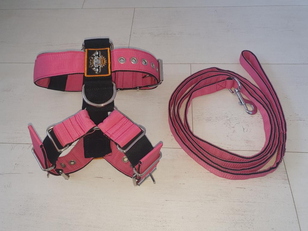 Extreme Dog Gear met riem, Ophalen of Verzenden, Nieuw
