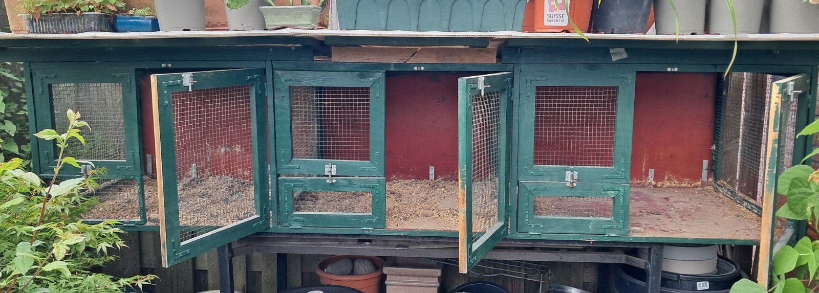 Vogelvolière voor grondvogeltjes, b.v. dwergkwartels, Ophalen, Gebruikt, Overige materialen, Volière